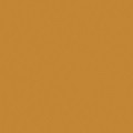 ae101q int 100 pmt ylw primer