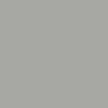 pas4 c0002 light gray