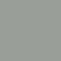 pas4 c2395 61 gray