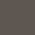 pns4 c0002 medium bronze