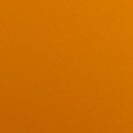 YD000QF INT ACE 2010 POWER TAN