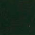 forestgreen